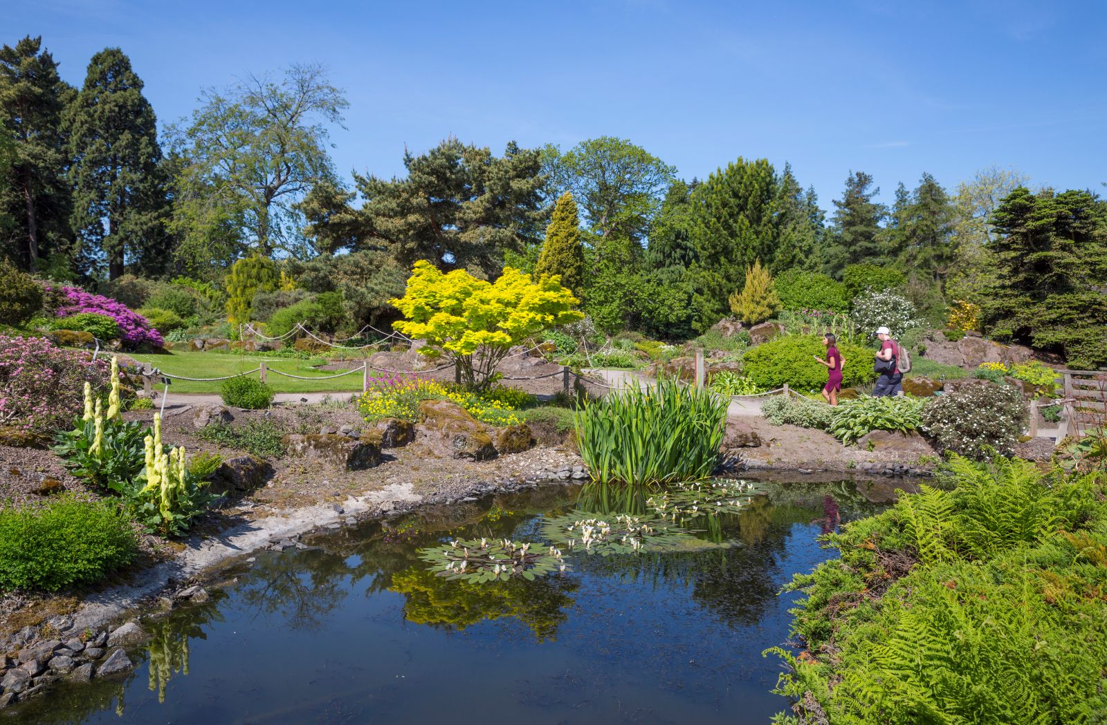 Royal Botanic Garden Edinburgh